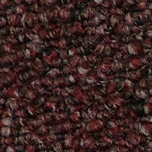 CRANBERRY